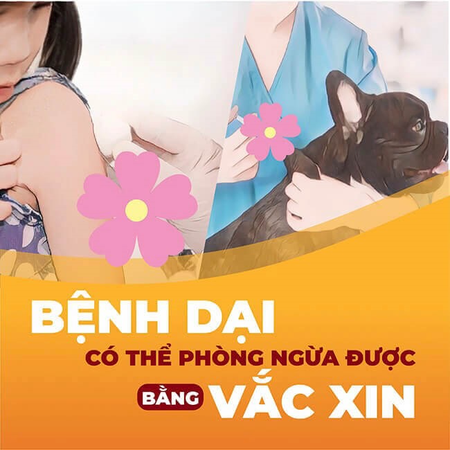 Khánh Hòa: Chủ động phòng, chống bệnh dại – Bảo vệ sức khỏe cộng đồng